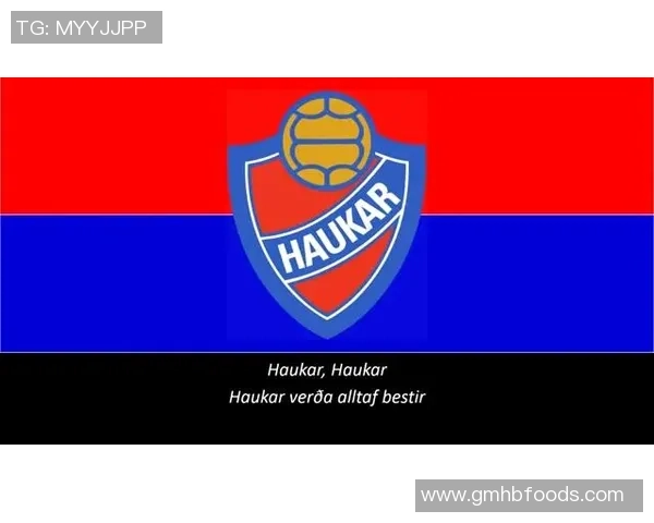 哈夫纳夫约杜尔与拉赫蒂比赛前瞻及胜负预测分析 哈夫纳夫约杜尔与拉赫蒂比赛前瞻及胜负预测分析