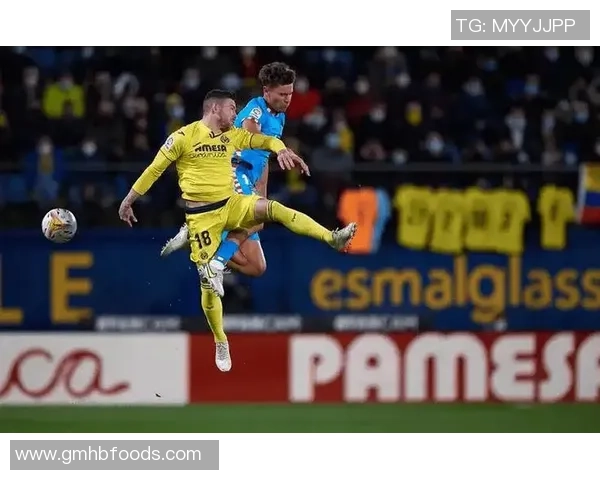 阿斯顿维拉与斯旺西精彩对决比分回顾及赛况分析