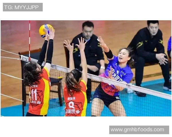新赛季排超联赛下月开赛 北京女排引进三名外援