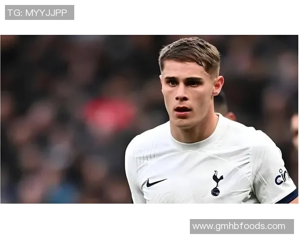 热刺身价变化：范德芬上涨至6500万欧，哈维-西蒙斯跌落1000万欧