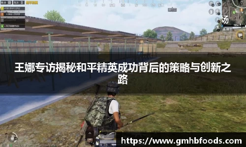 王娜专访揭秘和平精英成功背后的策略与创新之路