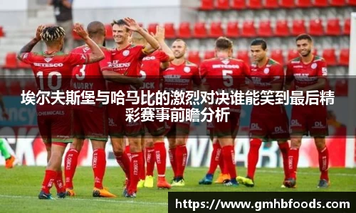 埃尔夫斯堡与哈马比的激烈对决谁能笑到最后精彩赛事前瞻分析