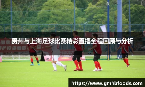 贵州与上海足球比赛精彩直播全程回顾与分析