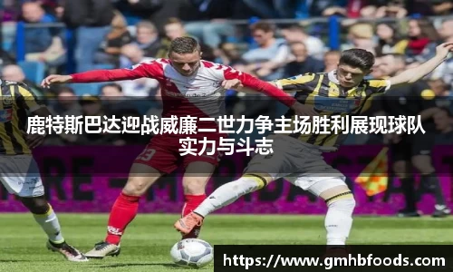 星空综合体育APP